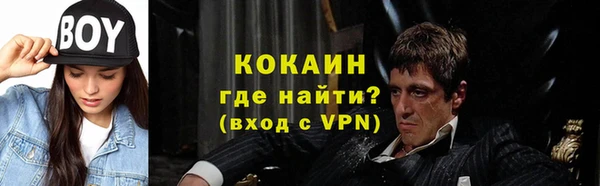 крисы Алзамай