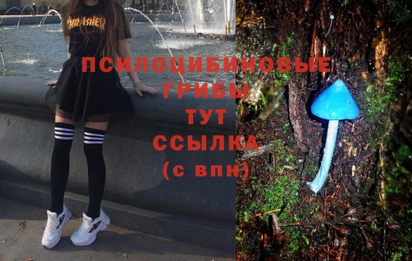 гашик Абинск
