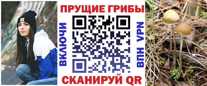 закладка  Миллерово  hydra рабочий сайт  Галлюциногенные грибы мухоморы 